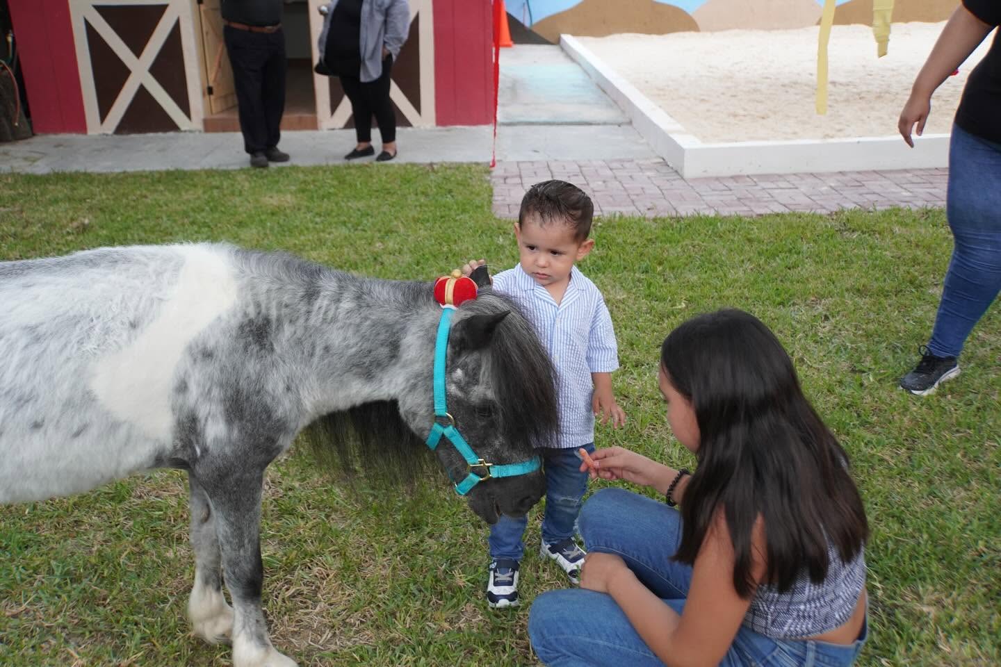 Alumno interactuando con un poni en Kinder Educare