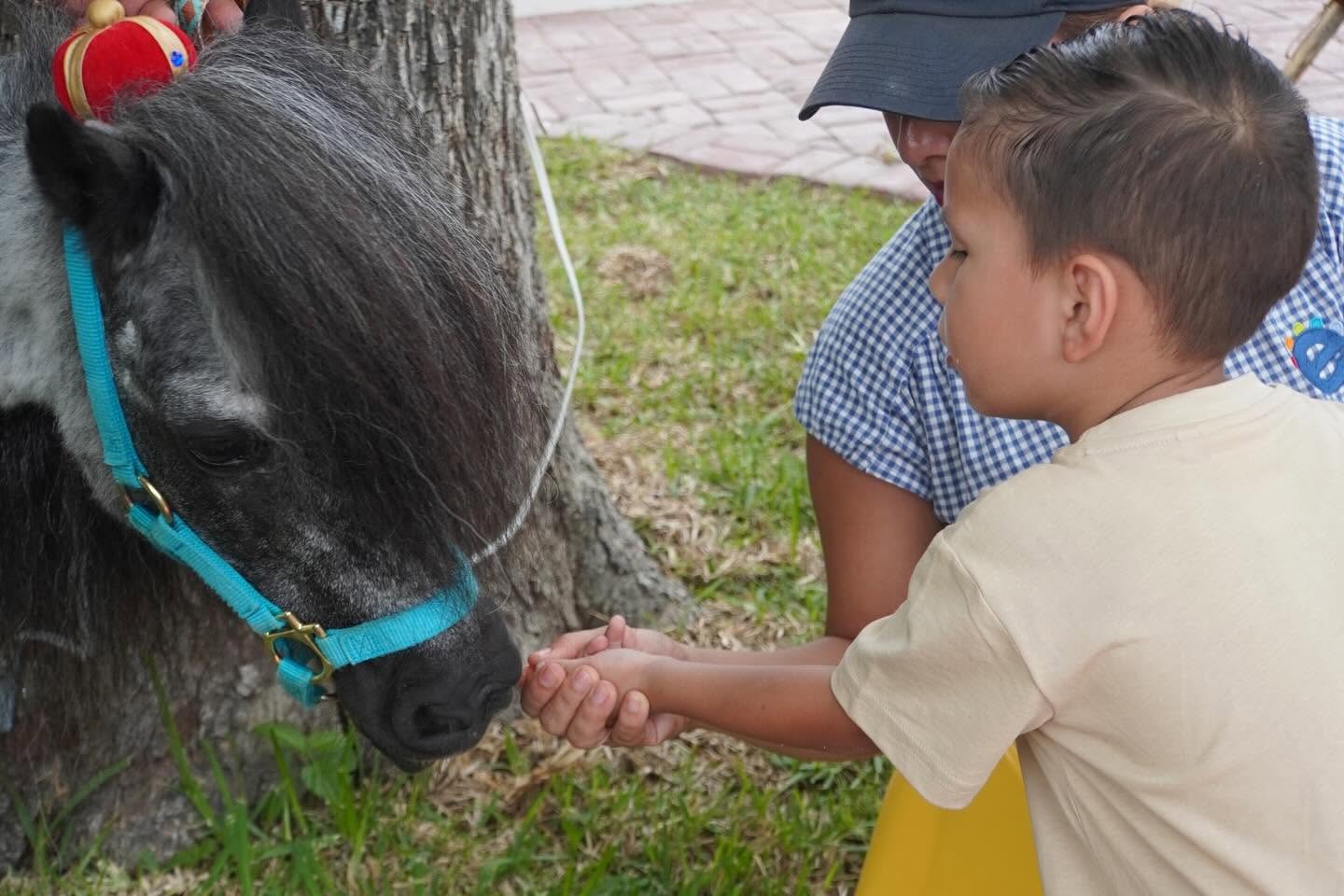 Alumno en sesión de Poni Club